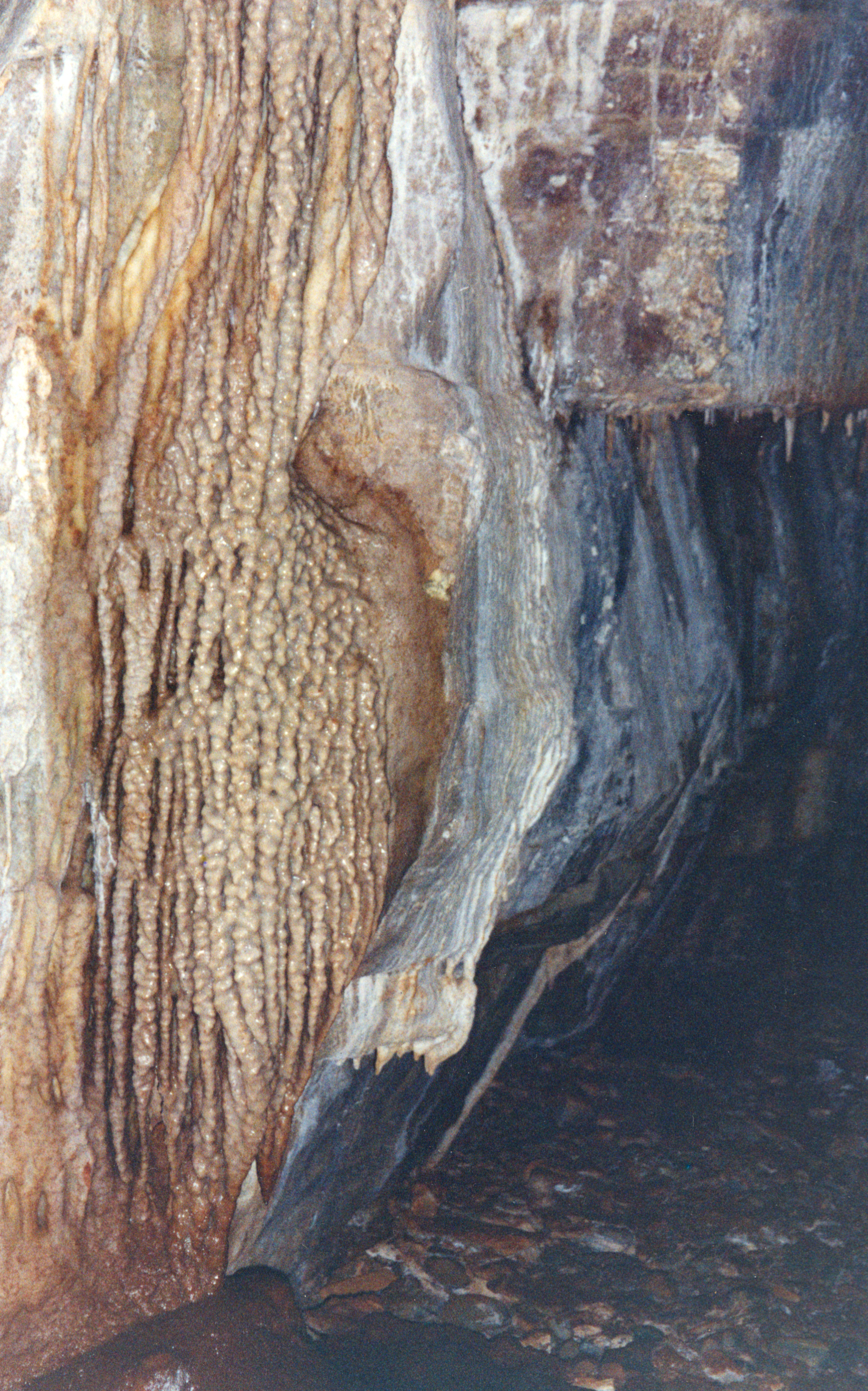Leopard Skull Cave [Picture][Calcite formations on wall][19970720][PSwart]